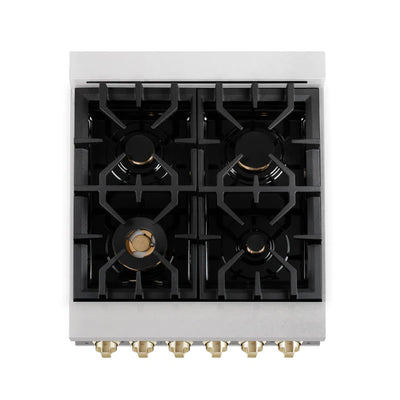 ZLINE Autograph Edition 24 in. 2.8 cu. ft. Dual Fuel Range with Gas Stove and Electric Oven in DuraSnow Stainless Steel with Accents (RASZ-SN-24)