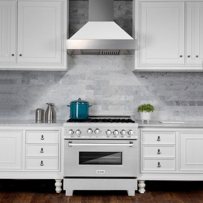 ZLINE 36" Kitchen Package with DuraSnow® Stainless Steel Gas Range, Ducted Range Hood and Dishwasher